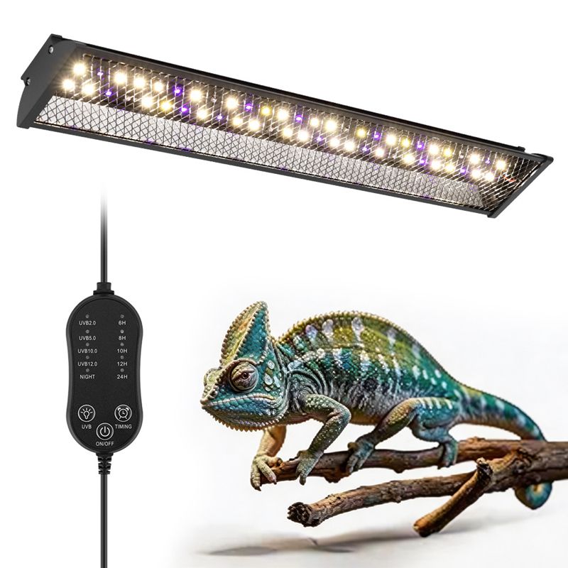 Calcium Powder Reptile - Lampu Braket Reptil, Kotak Pembiakan Kadal