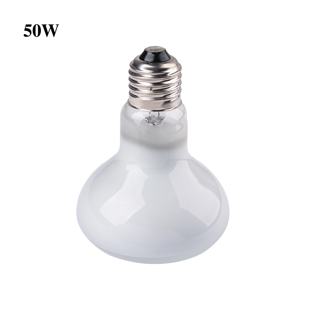Basking Bulb Halogen - Pengontrol Suhu Pemanas Kura-kura, Lampu Halogen,