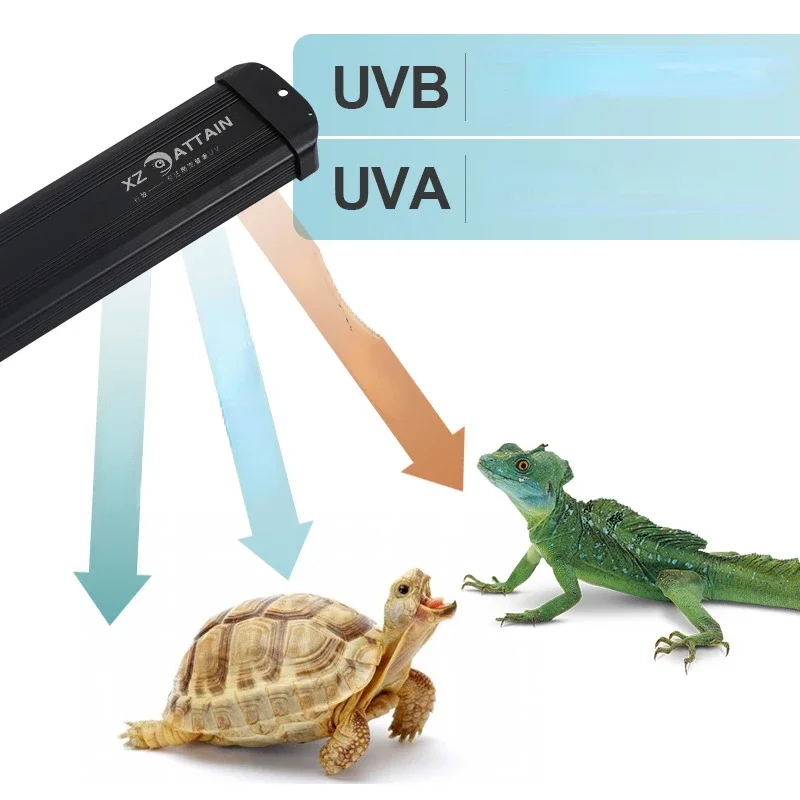 Reptil UVA + UVB spektrum penu - Calcium Powder Reptile ulasan dan harga