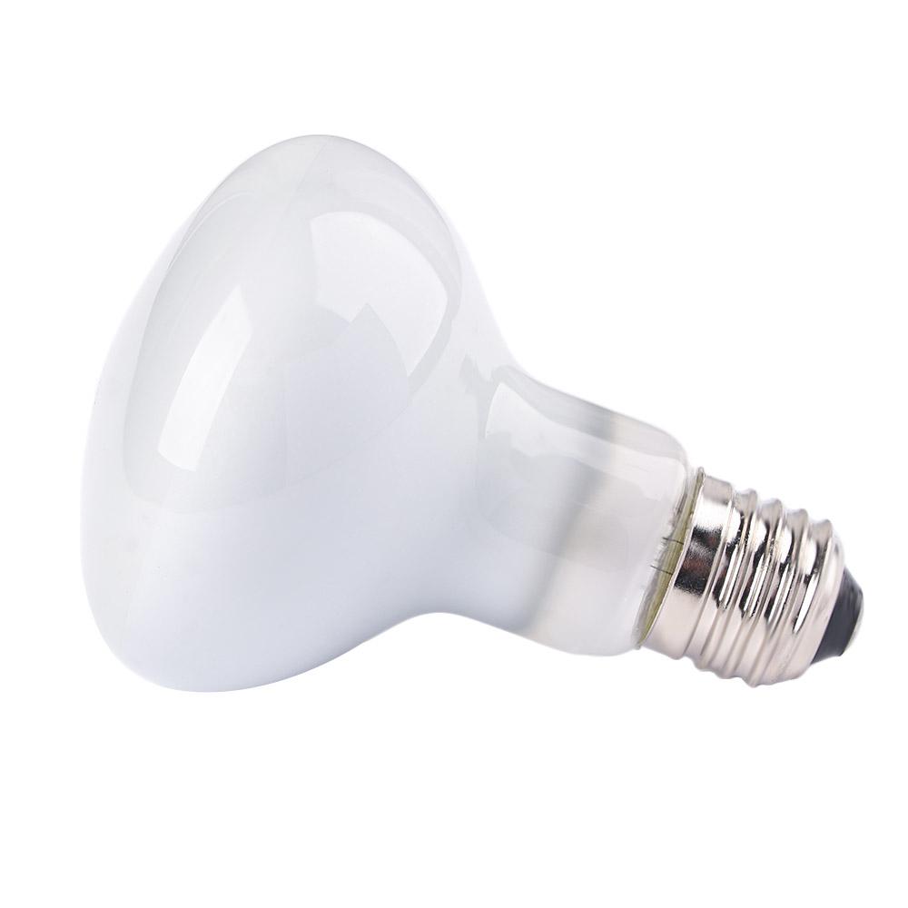 Lampu Pemanas Amfibi Lampu UVA - Basking Bulb Halogen ulasan dan harga