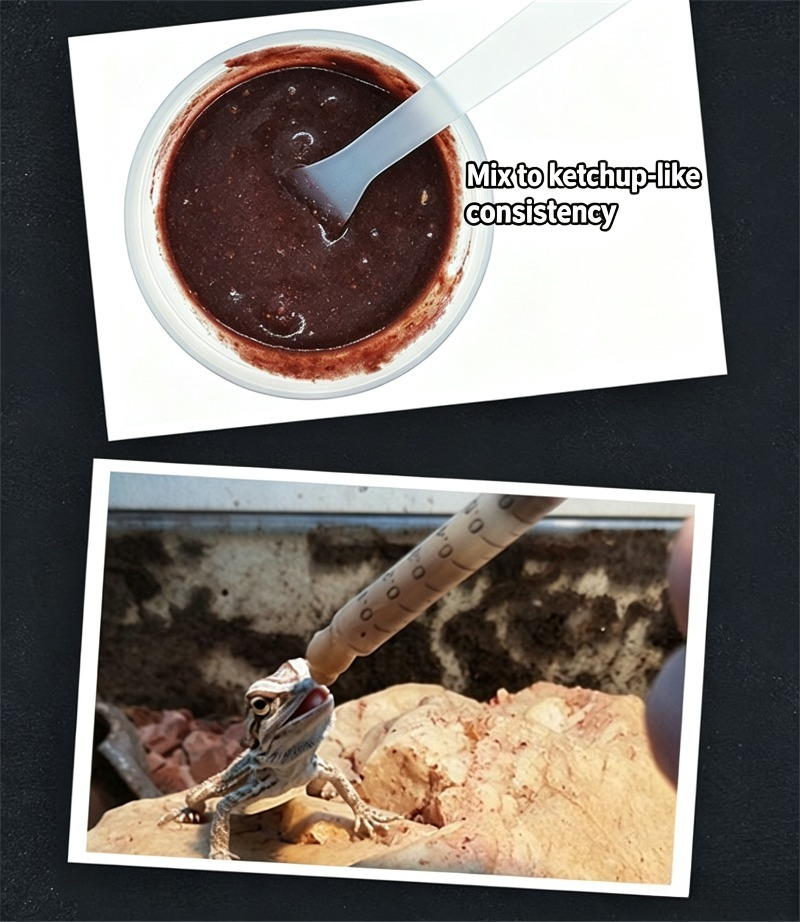 Makanan Reptil, Pasta Buah Ser - Calcium Powder Reptile ulasan dan harga
