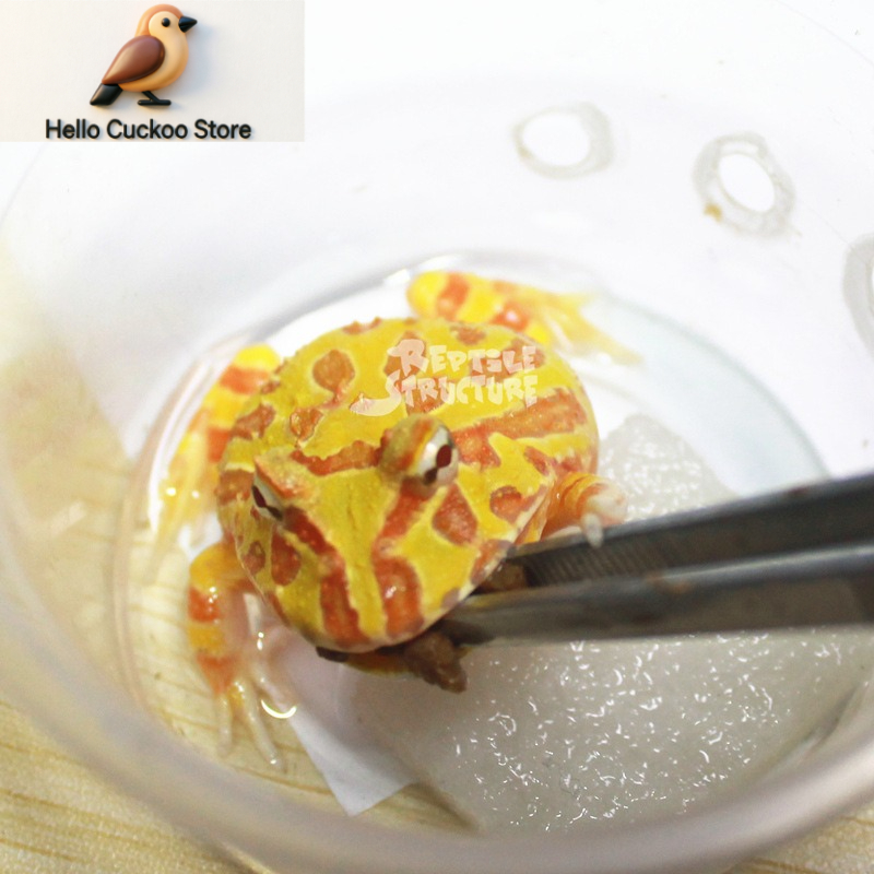Bubuk Granul Makanan Katak Ber - Calcium Powder Reptile ulasan dan harga