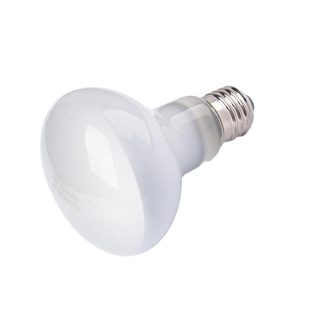 Pengontrol Suhu Amfibi, Pemana - Basking Bulb Halogen ulasan dan harga