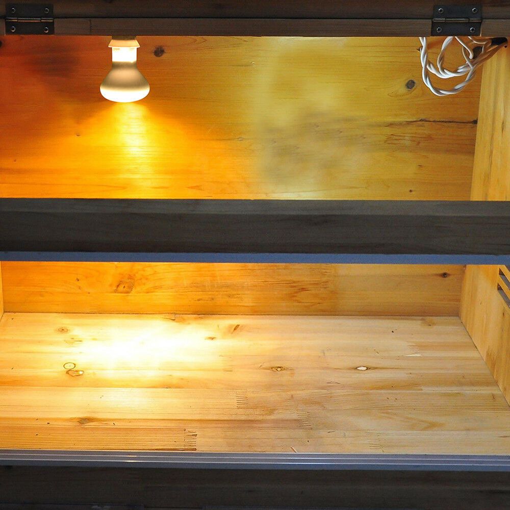 Pengontrol Suhu Pemanas Kura-k - Basking Bulb Halogen ulasan dan harga