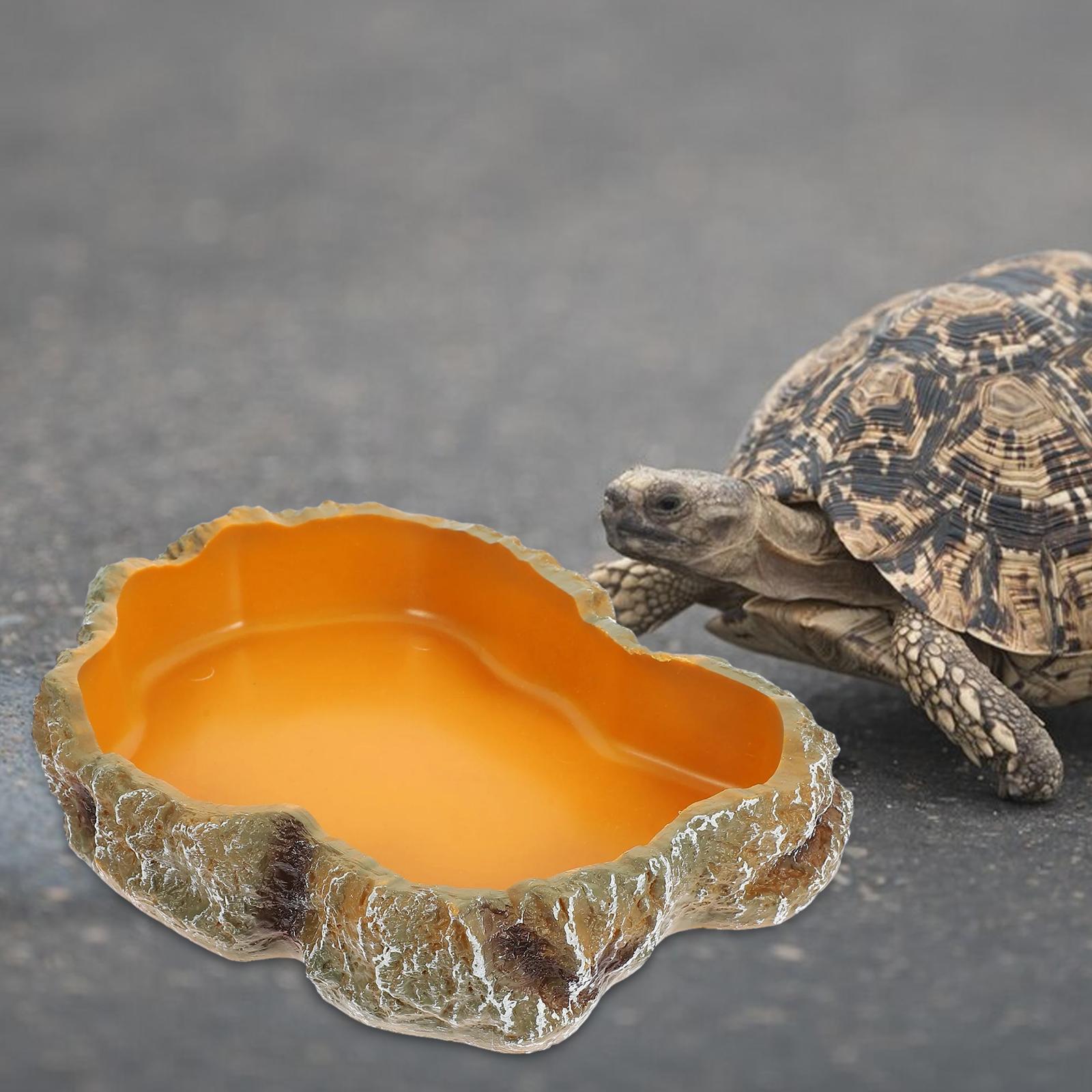Aksesoris Tangki Reptil, Pirin - Water Dish Reptile ulasan dan harga