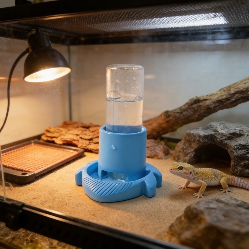 Tempat Makan Air Reptil Plasti - Water Dish Reptile ulasan dan harga