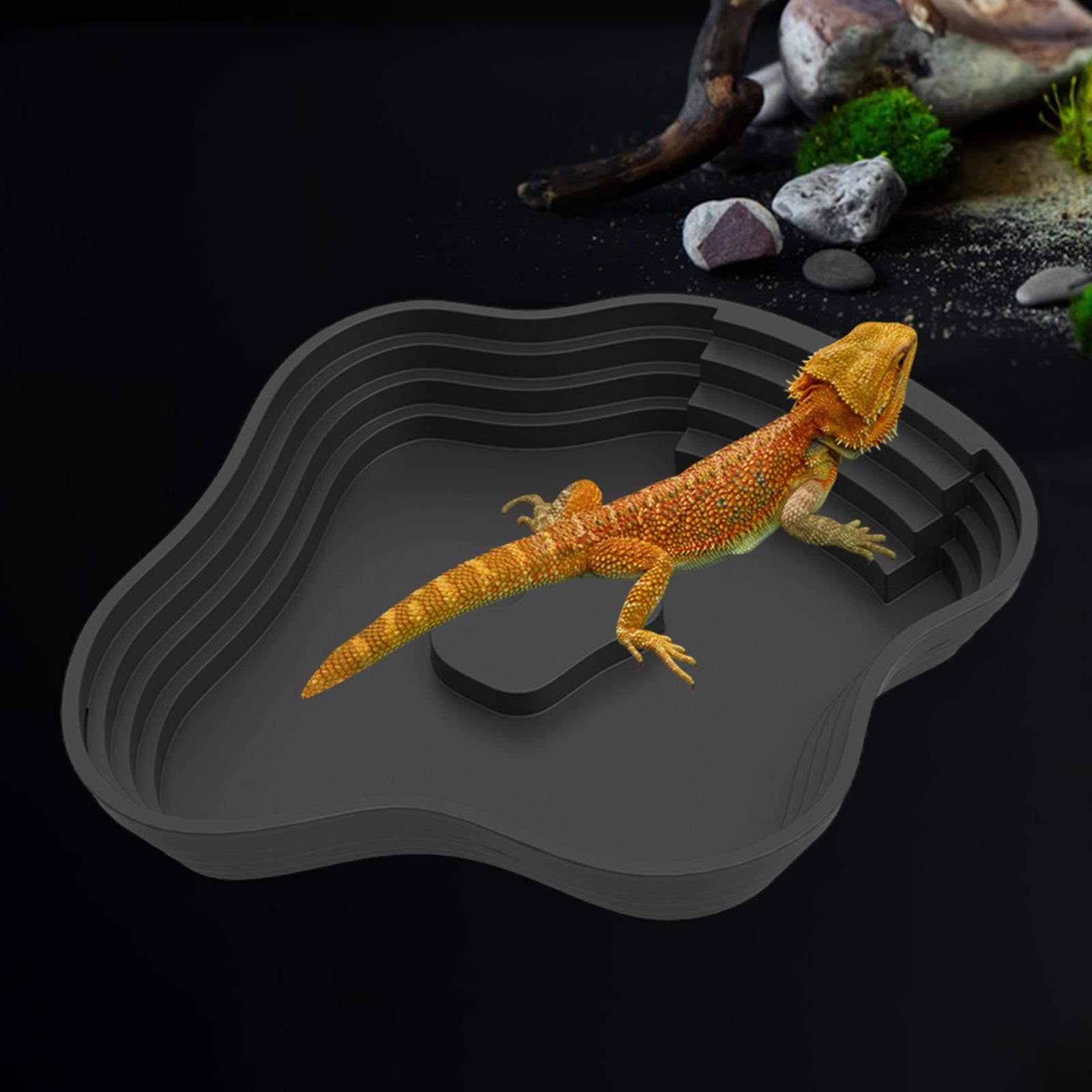 Kolam Mandi Reptil, Wadah Maka - Water Dish Reptile ulasan dan harga