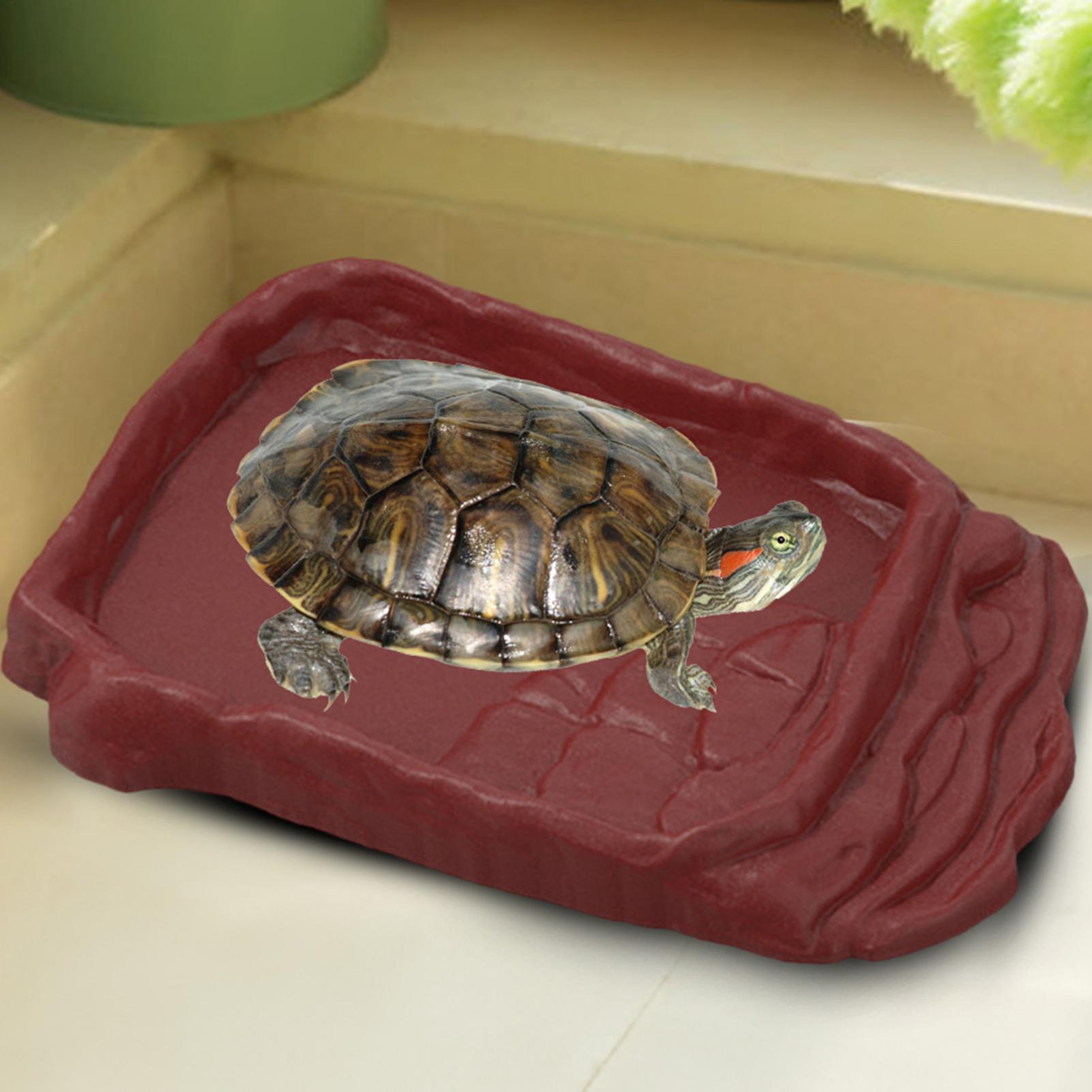 Tempat Mandi Kura-Kura, Wadah  - Water Dish Reptile ulasan dan harga