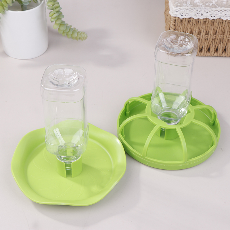Dispenser Tempat Minum Reptil, - Water Dish Reptile ulasan dan harga