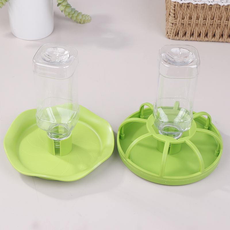 Dispenser Tempat Minum Reptil, - Water Dish Reptile ulasan dan harga